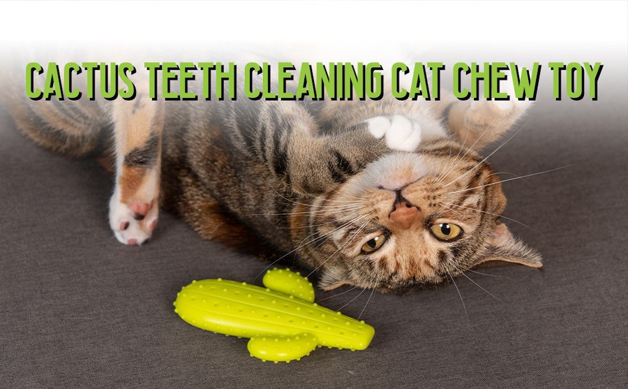 silicone cat toy silicone cat toy